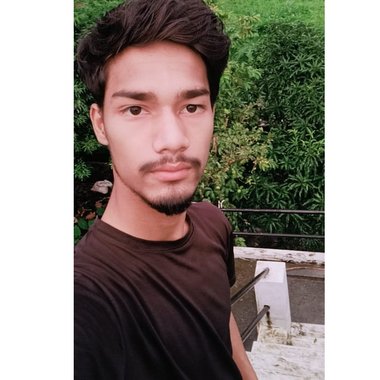 mechandanpandey - Freelance Seo Expert