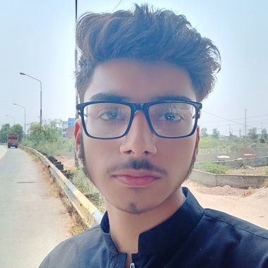 SyedAliTurrab - Freelance Social Media Freelancer