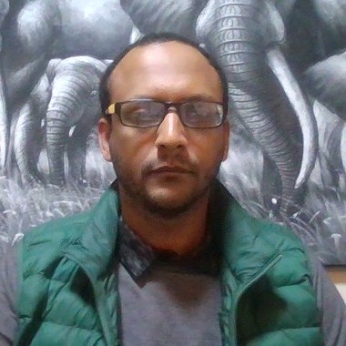 AdamAfework88 - Freelance Writer
