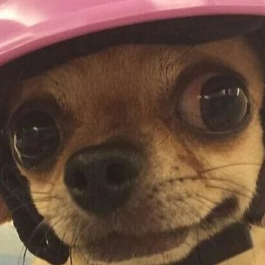 Murage - Freelance Programmer