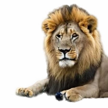 F17 G. - Freelance Video Editor