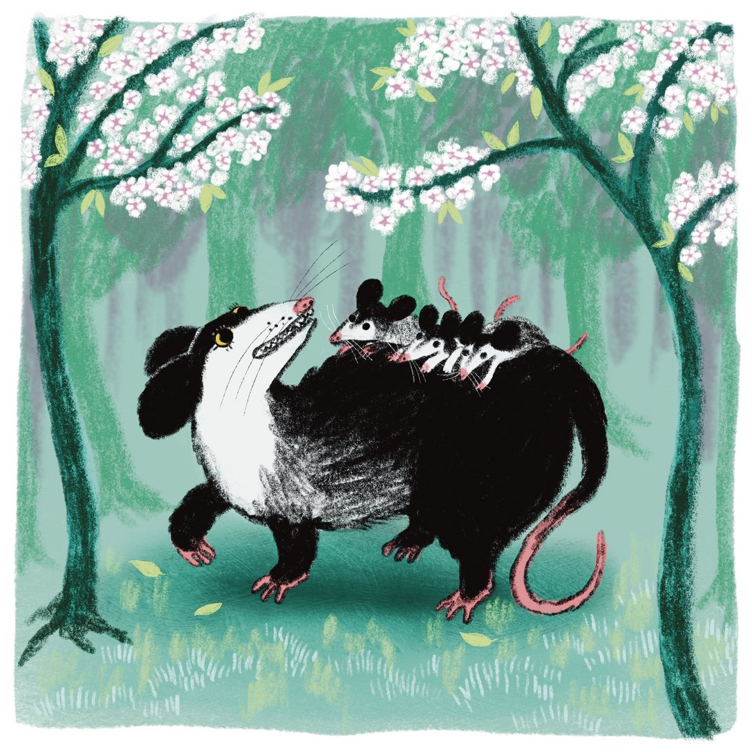 Mama Possum by Julia Sikorska - on Twine.