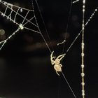 Henri Sakari Virtanen