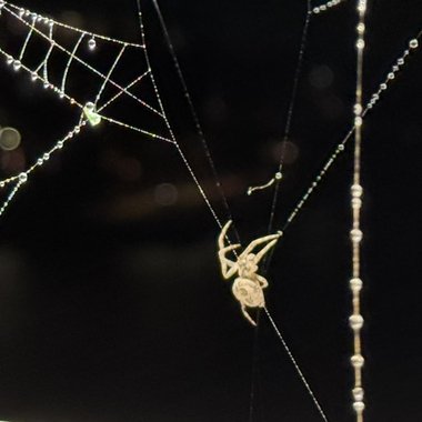 Henri V. - Freelance Animator