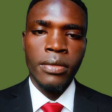 Paul M. - Freelance Web Developer