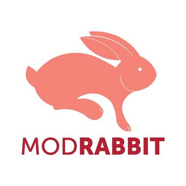 Joanna D. - Freelance Brand Designer