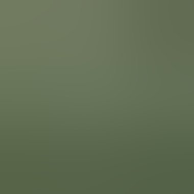 Javad M. - Freelance Web Developer