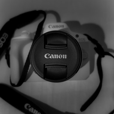 Foto L. - Freelance Photographer