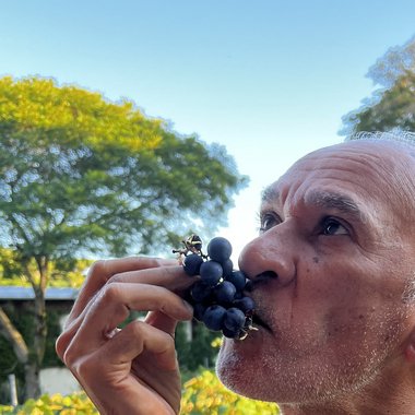 Agnaldo G. - Freelance Graphic Designer