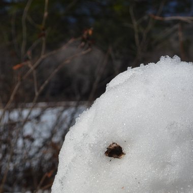 Kay A. - Freelance Videographer