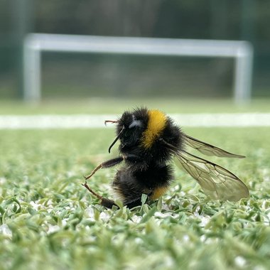 James F. - Freelance Content Creator