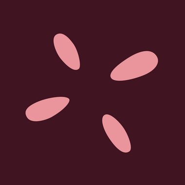 wearechispa - Freelance Studio Owner