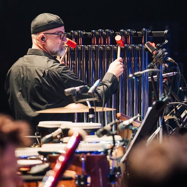 Philip S. - Freelance Musician