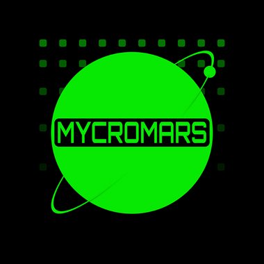 Alexander R. - Freelance Developer