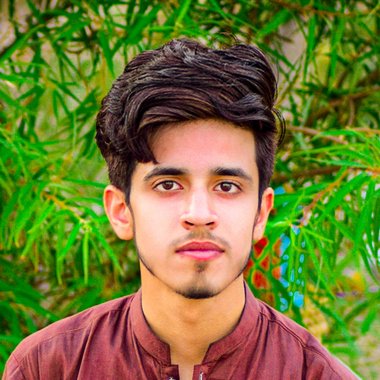 hanzlaparacha9455364 - Freelance Video Editor