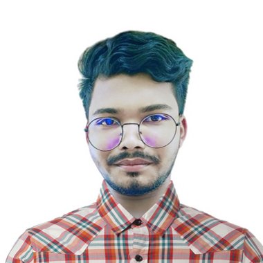 Anik r. - Freelance Digital Marketer