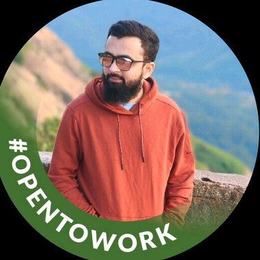 Zaki P. - Freelance Infographic Designer