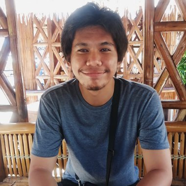 Last L. - Freelance Web Developer