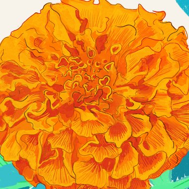 Syd C. - Freelance Animator