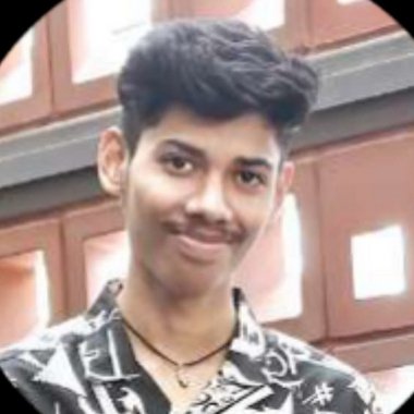 Boggavarapu K. - Freelance Data Collector