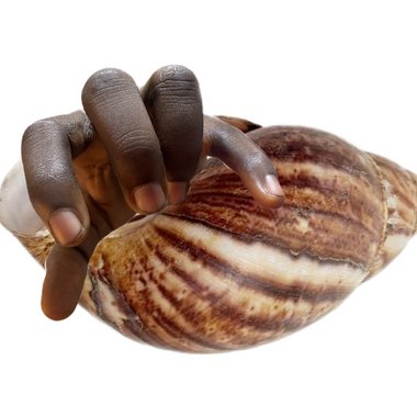 Andrews A. - Freelance Image Editor