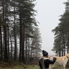 Lucy Watson | Illustrator & Designer