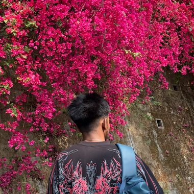 Prem Y. - Freelance Seo Expert