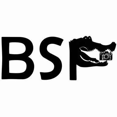 Big P. - Freelance 3d Designer