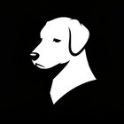 Nodding Dog Productions