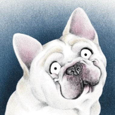 Samantha S. - Freelance Illustrator
