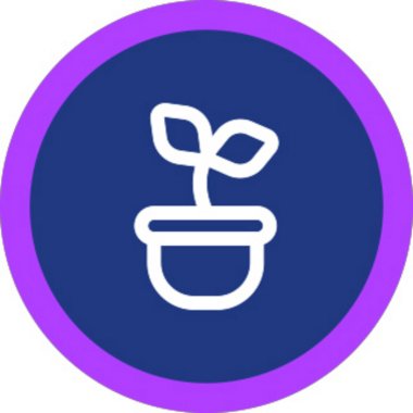 Alma G. - Freelance Designer