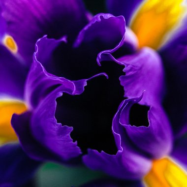 Brad E. - Freelance Director Of Photography