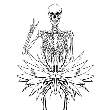 Tatiana d. - Freelance Brand Designer