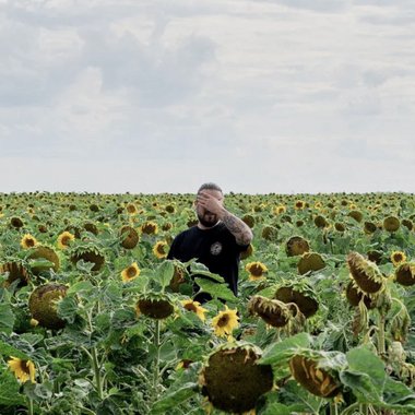 Stefano M. - Freelance Brand Designer