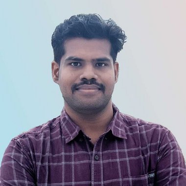 Vignesh P. - Freelance Web Developer
