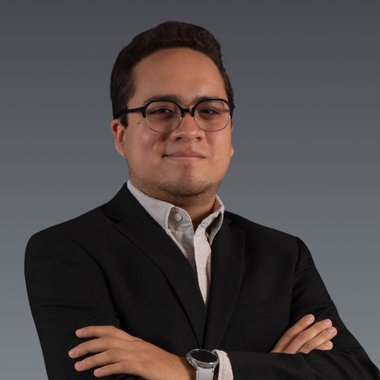 Diego P. - Freelance Developer