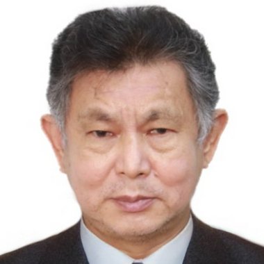 DJONY P. - Freelance Database Developer