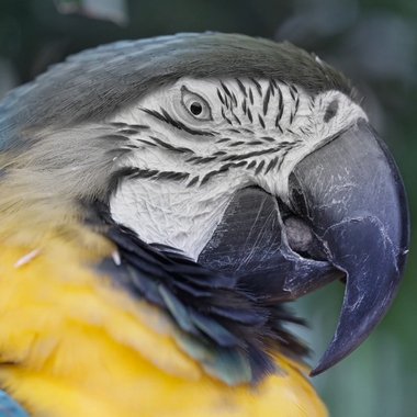 Alejandra R. - Freelance 3d Modeler