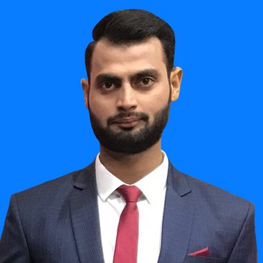F H. - Freelance Programmer