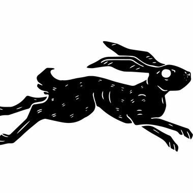 Aspen K. - Freelance Brand Designer