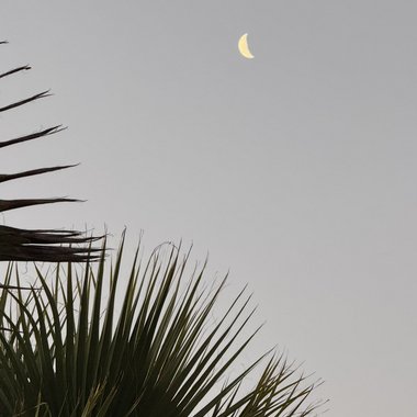 Sai S. - Freelance Mixing Engineer