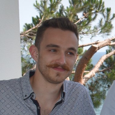 Tom S. - Freelance Developer