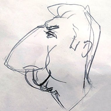 nader n. - Freelance Caricature Artist
