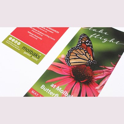 Molbak's rack card for Woodland Park Zoo by Cindy Tyler - on Twine.