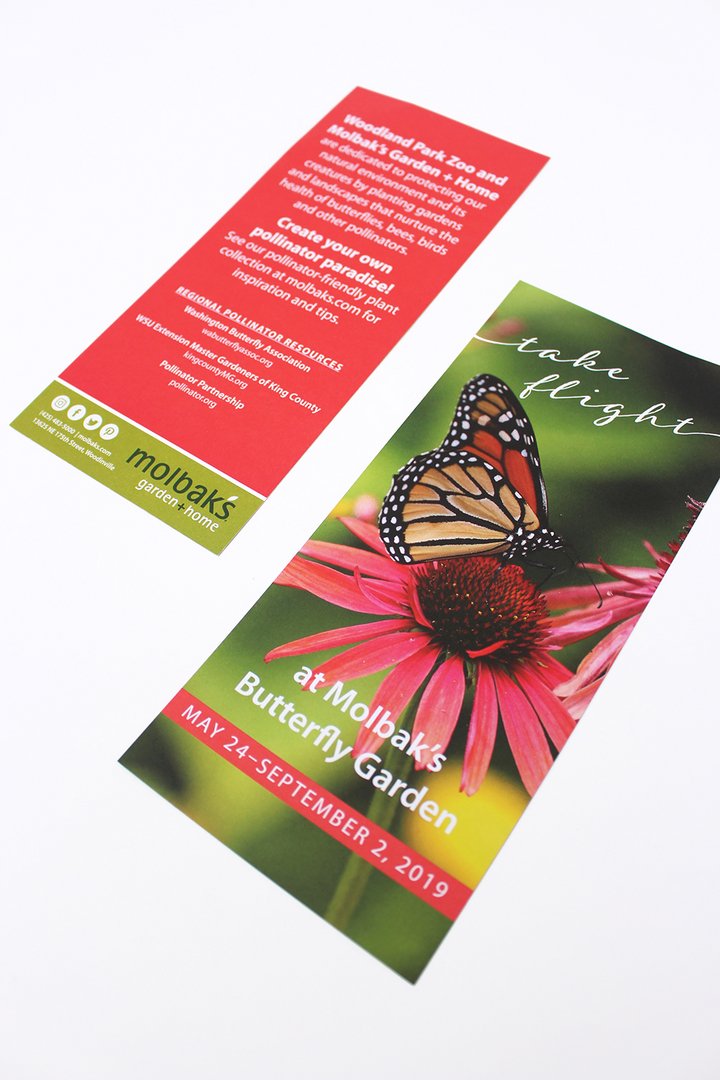 Molbak's rack card for Woodland Park Zoo by Cindy Tyler - on Twine.