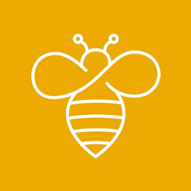Rachel C. - Freelance Brand Designer
