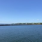 christinabranton5903