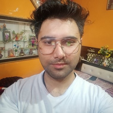Rajat S. - Freelance Web Developer