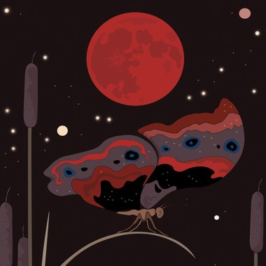 iben p. - Freelance Illustrator