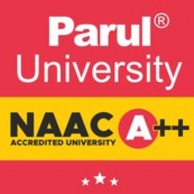 ParulUniversity - Freelance Seo Expert